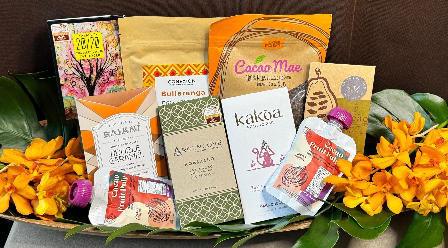 Taste Chocolate from the Source Group Tasting Experience and Kit