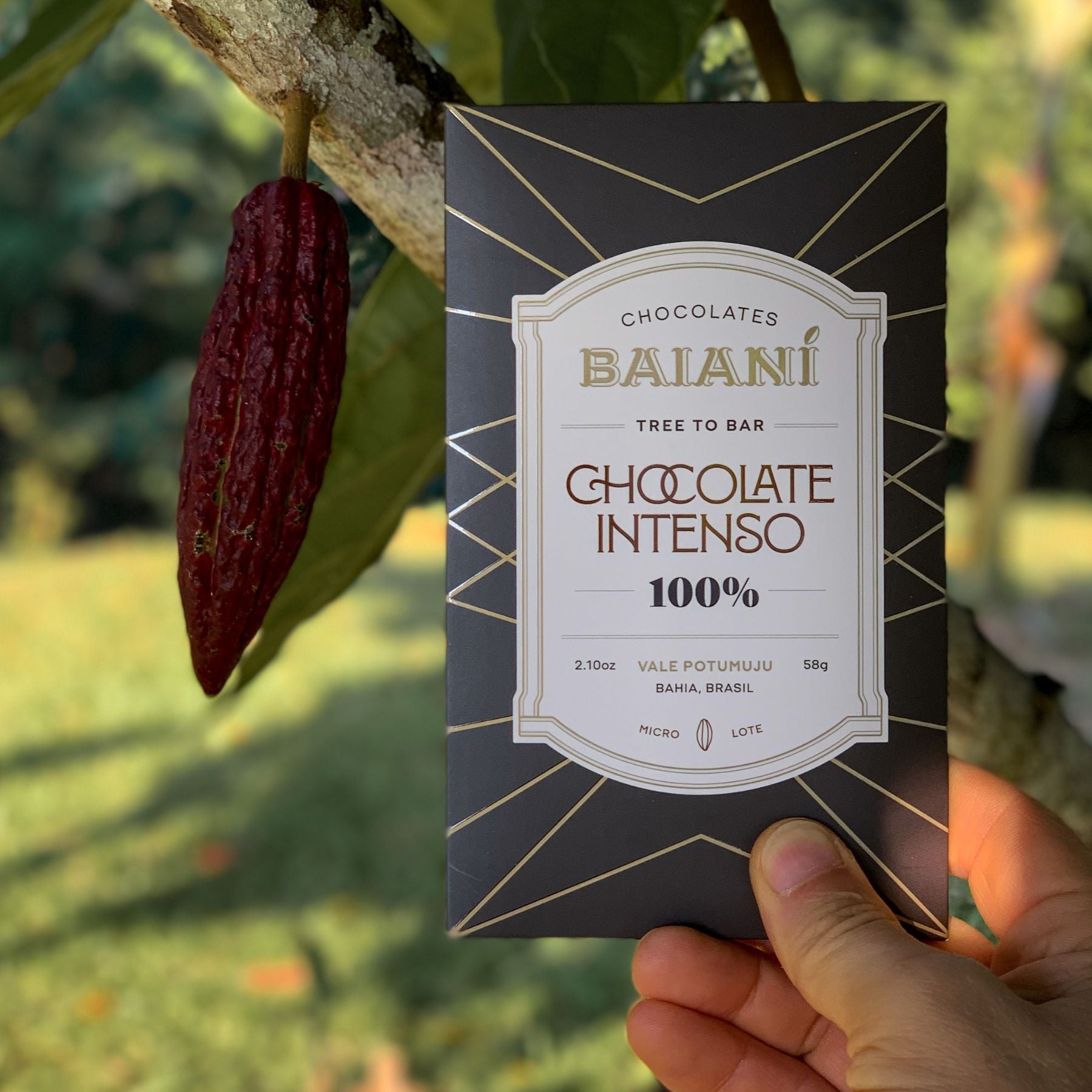 Brazilian Tree-to-Bar Chocolate - Vale Potumujú