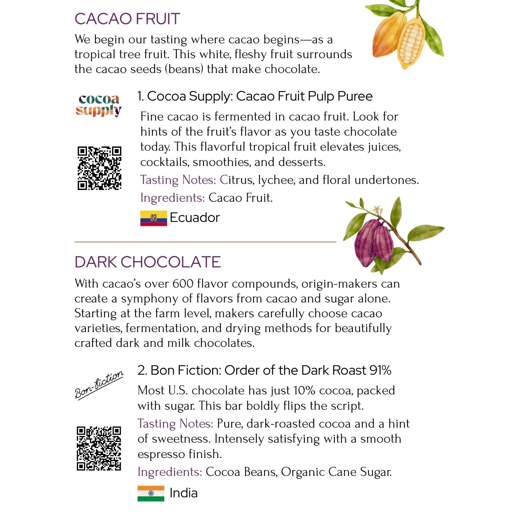 NEW! Worldwide Chocolate Tasting Kit (1-2 People, Free Shipping)