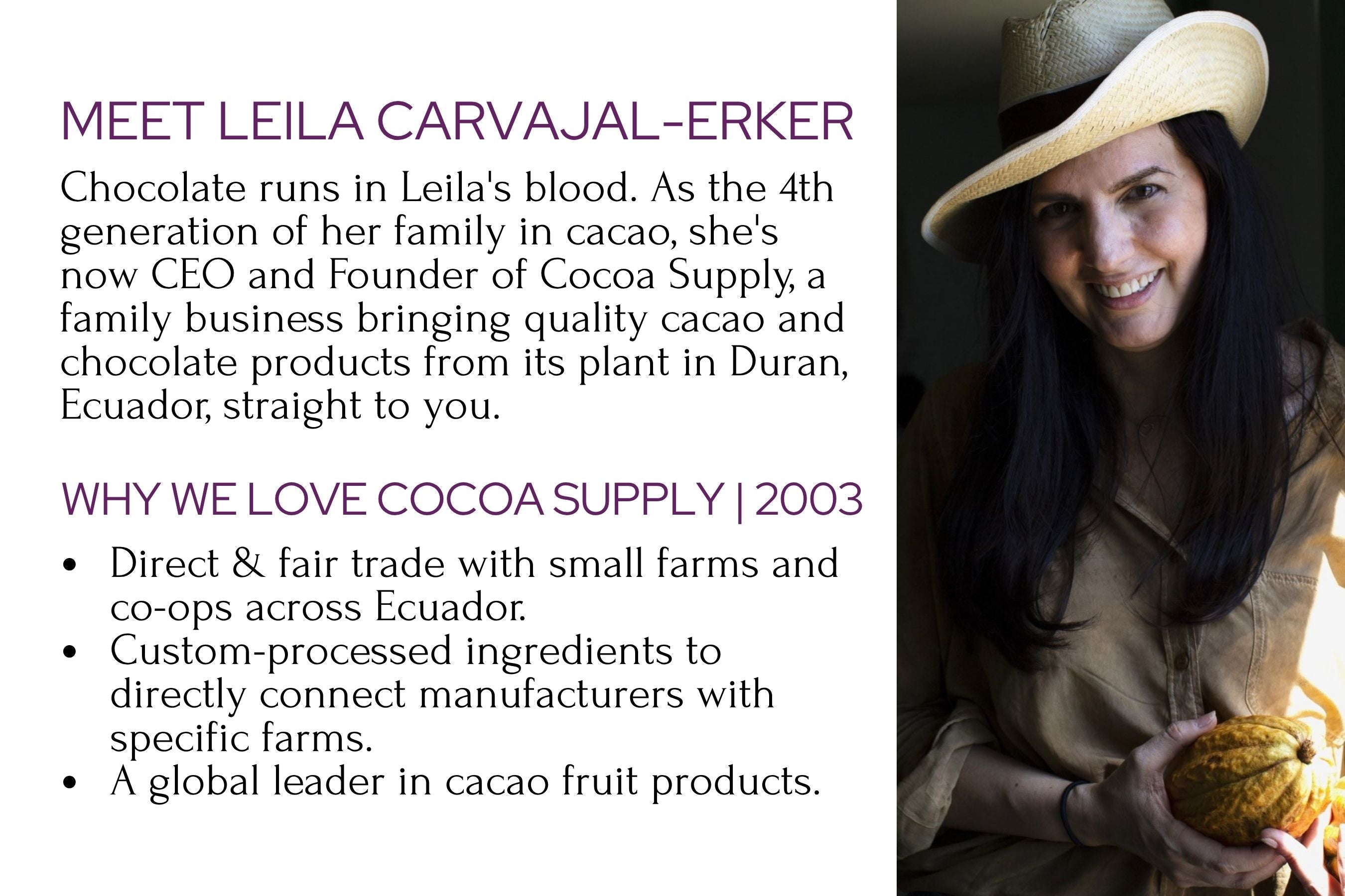 Worldwide Chocolate Tasting Kit (1-2 People, Free Shipping)