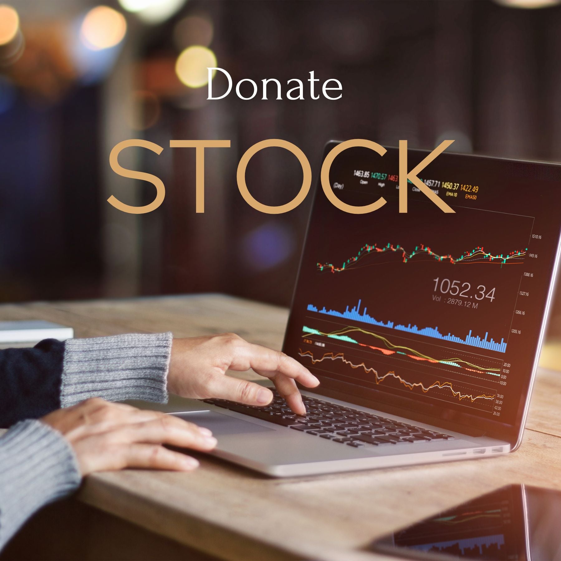 Stock