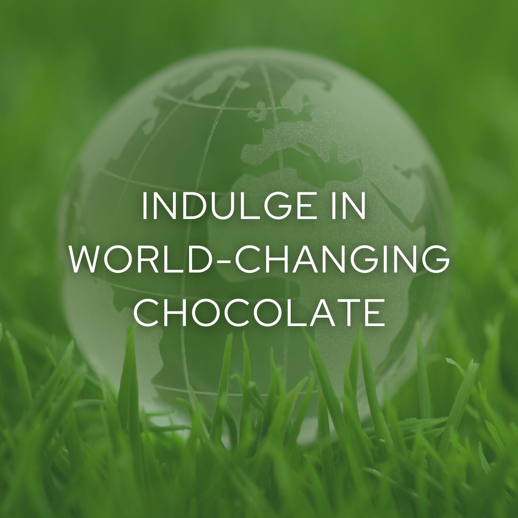 Indulge in World-Changing Chocolate Tasting Experience (Free Shipping)