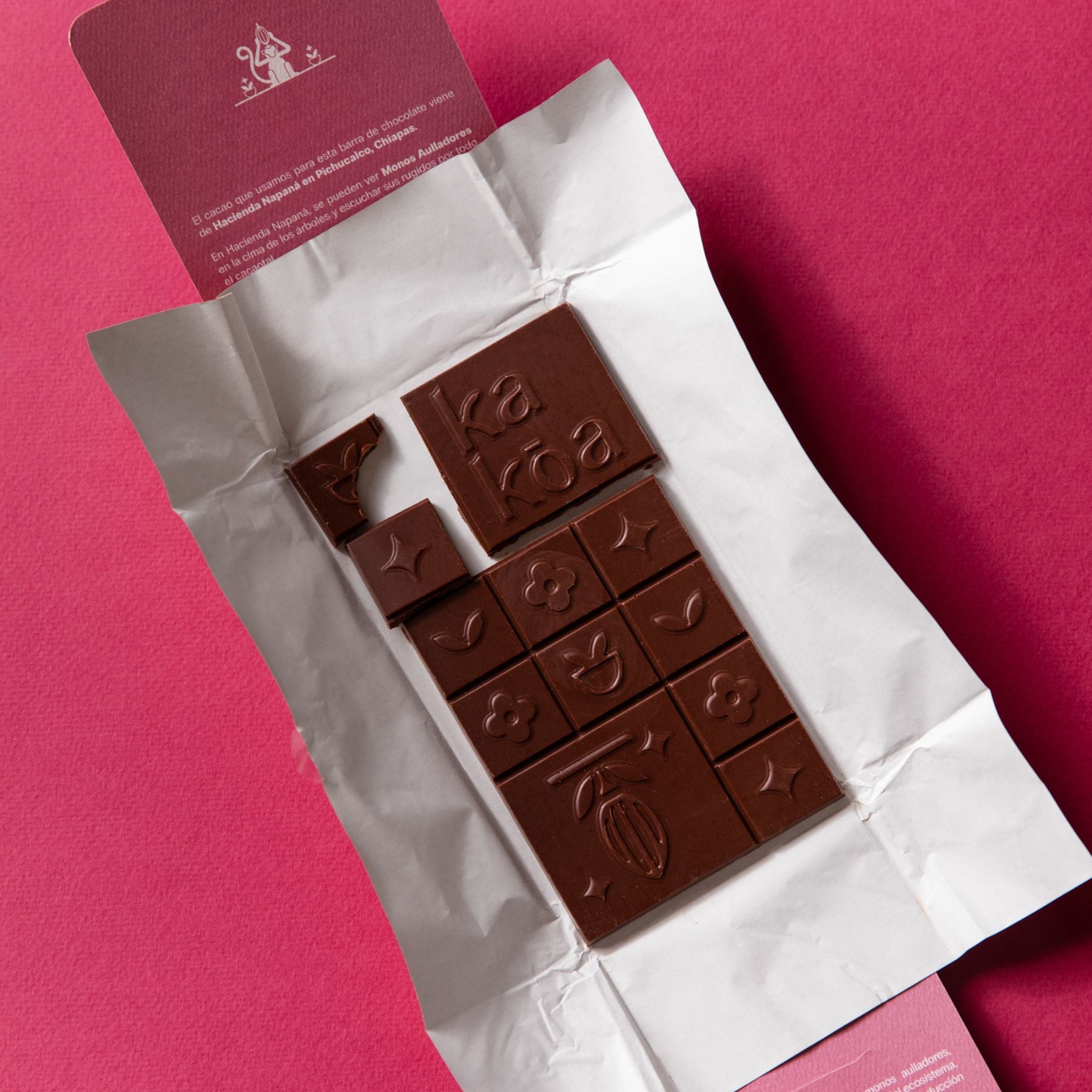 Mexico Dark & Milk Chocolate Bars