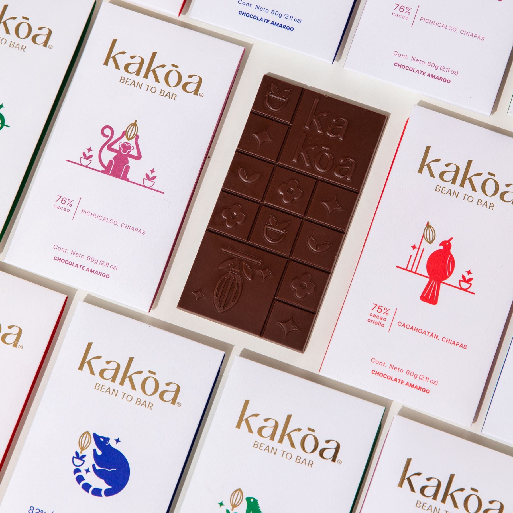 Mexico Dark & Milk Chocolate Bars