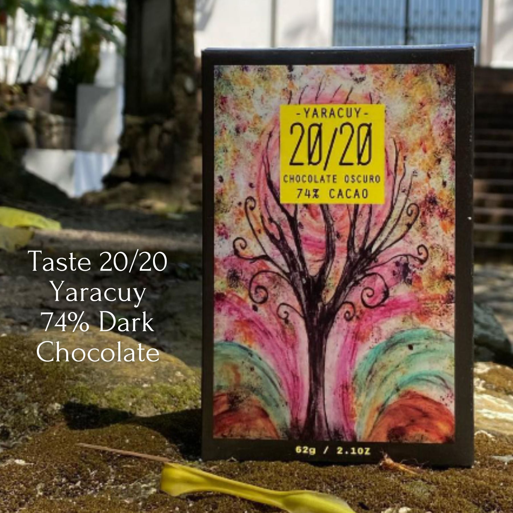 Taste Chocolate from The Source Tasting Experience (Free Shipping)