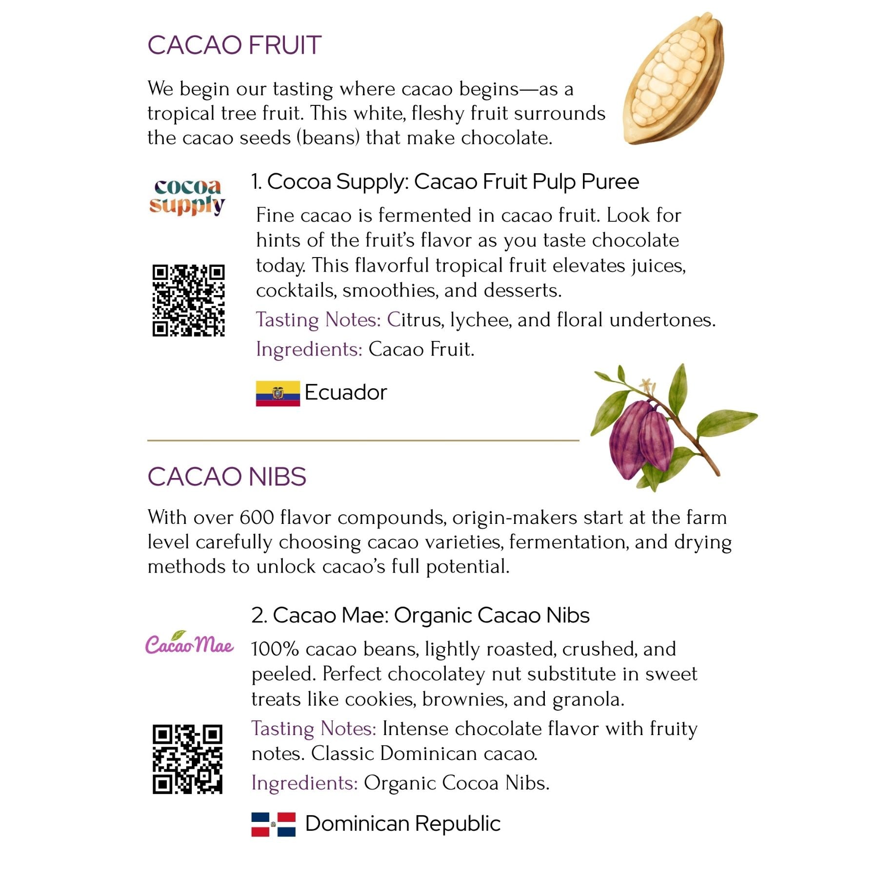 Taste Chocolate from The Source Tasting Experience (Free Shipping)