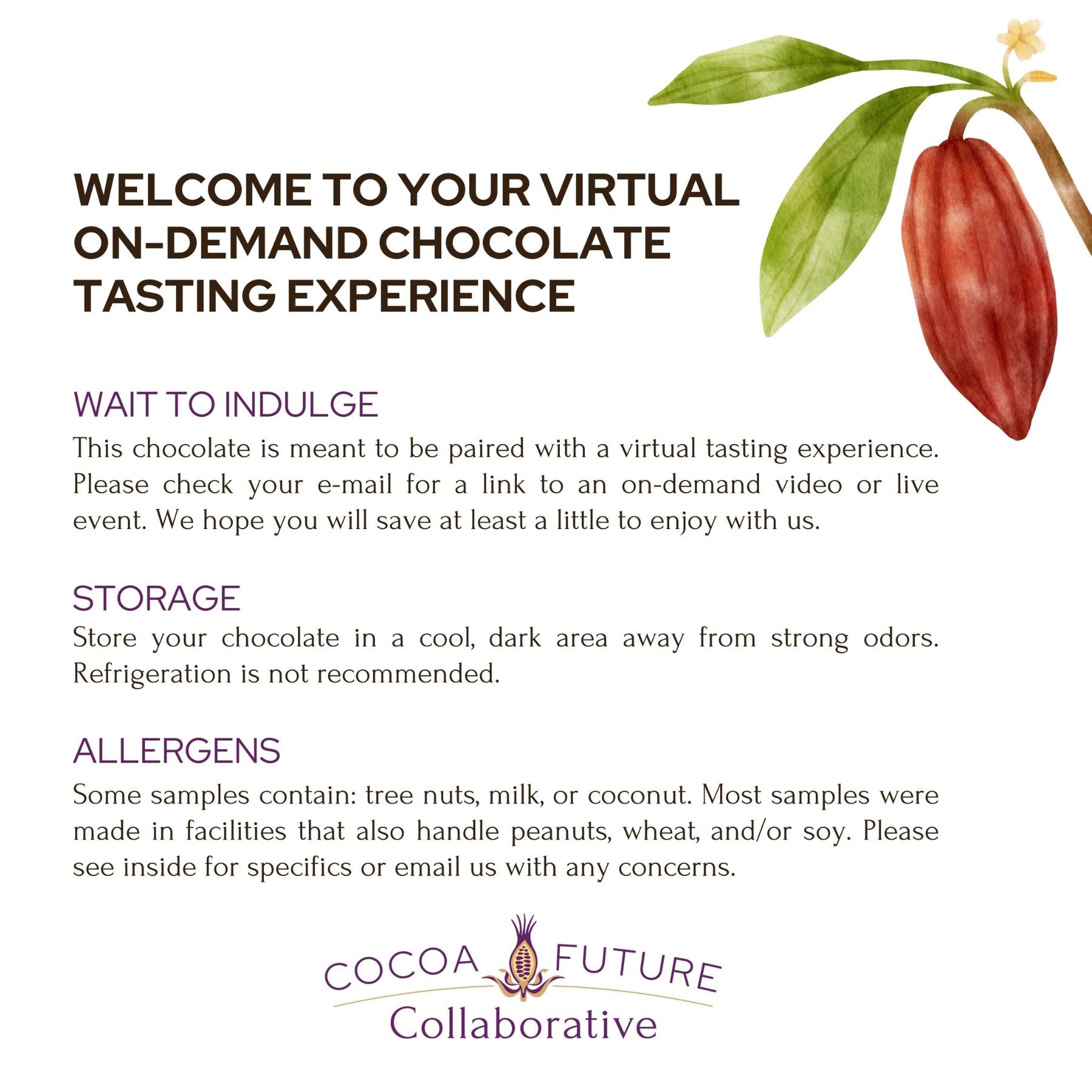 Travel the World through Chocolate Tasting Experience (Free Shipping)