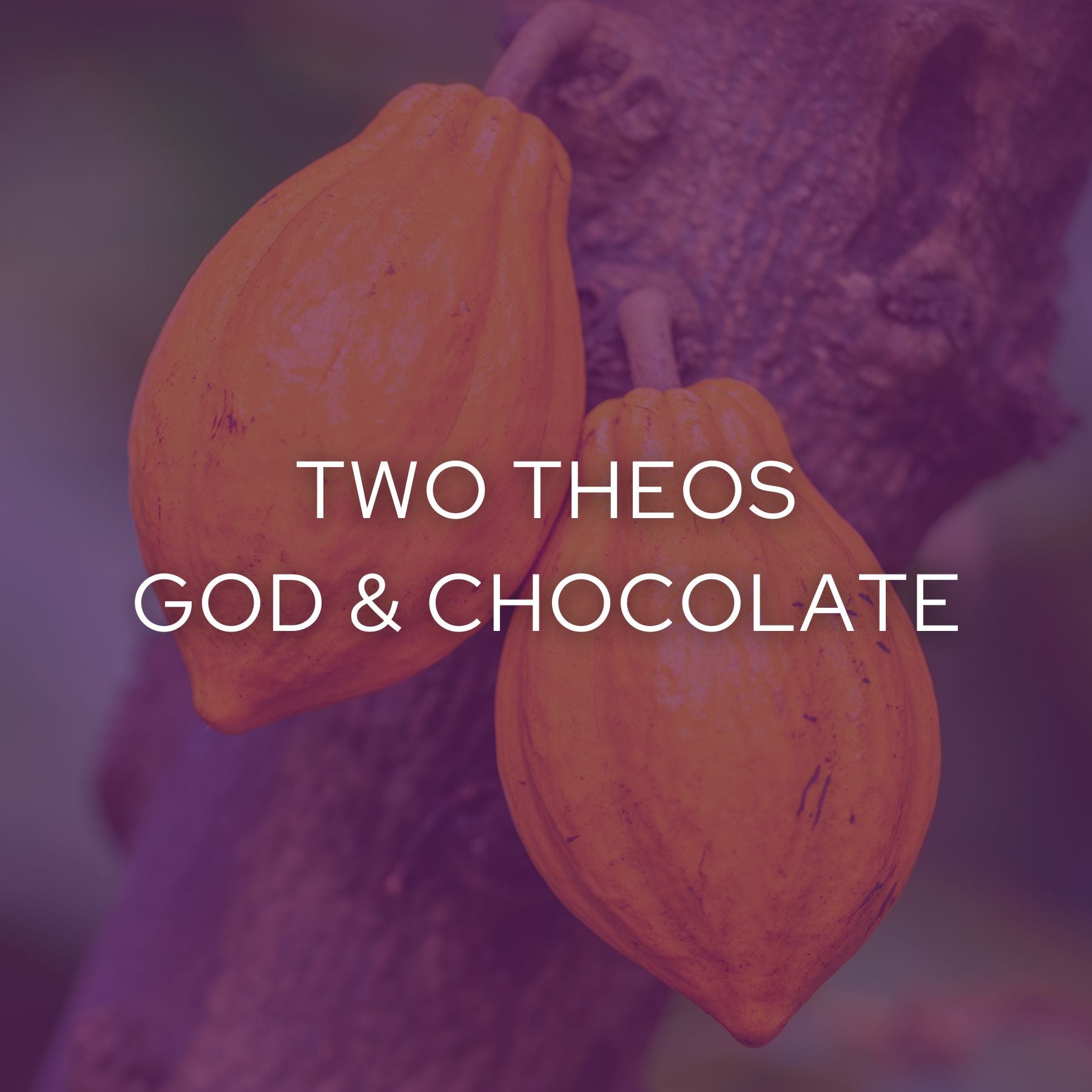 NEW! Two Theos - God & Chocolate Tasting Experience (Free Shipping)