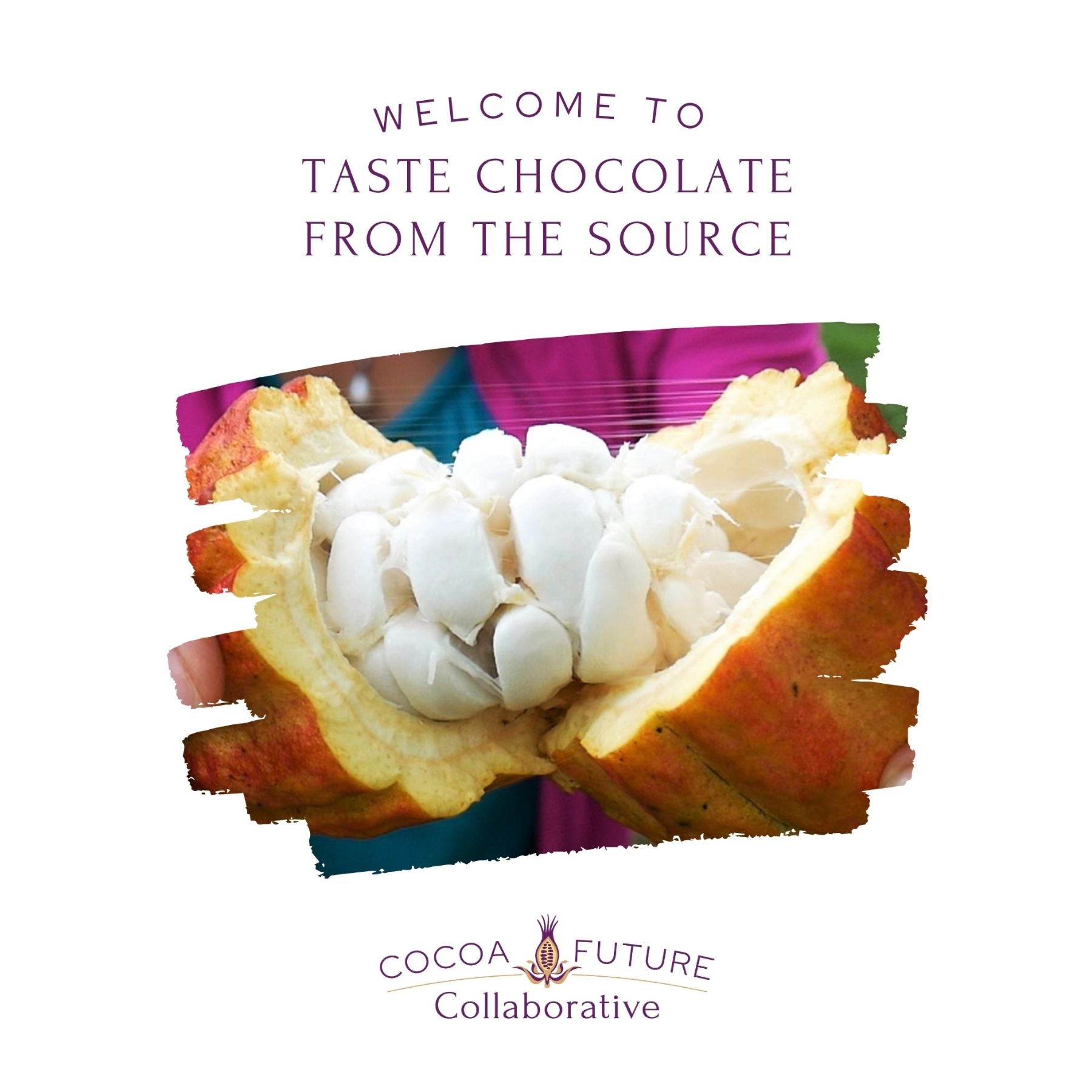 Taste Chocolate from The Source Tasting Experience (Free Shipping)