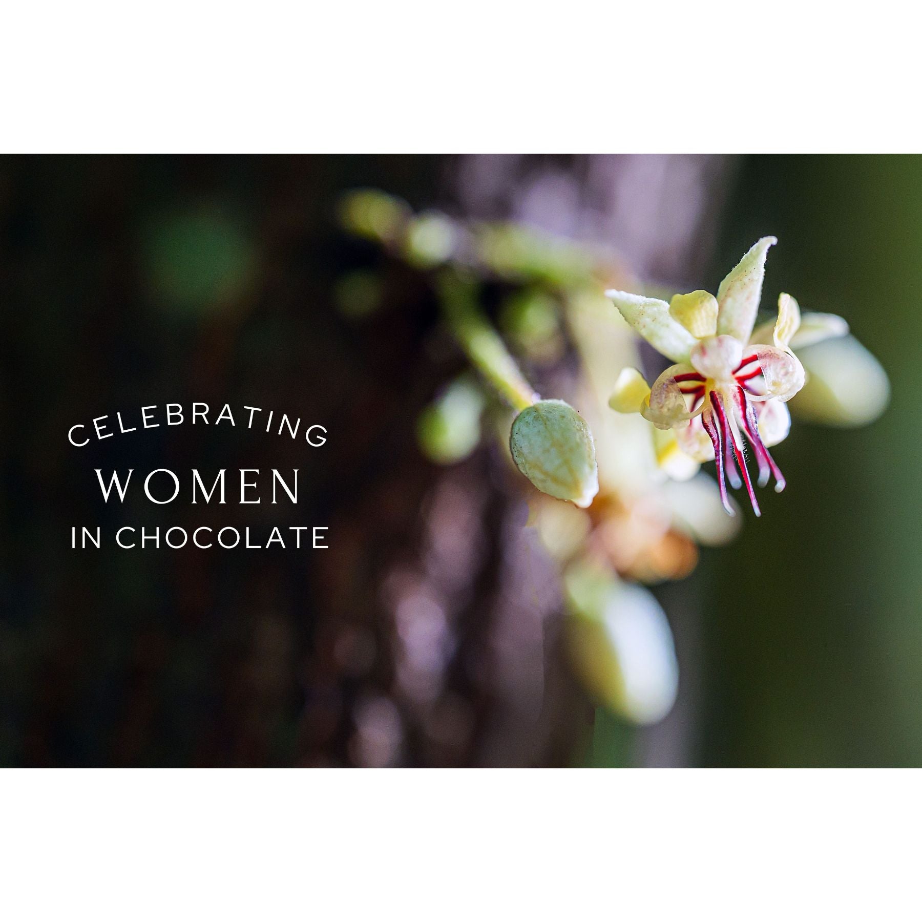NEW! Celebrating Women in Chocolate Tasting - for Galentine's / Valentine's Day (Free Shipping)