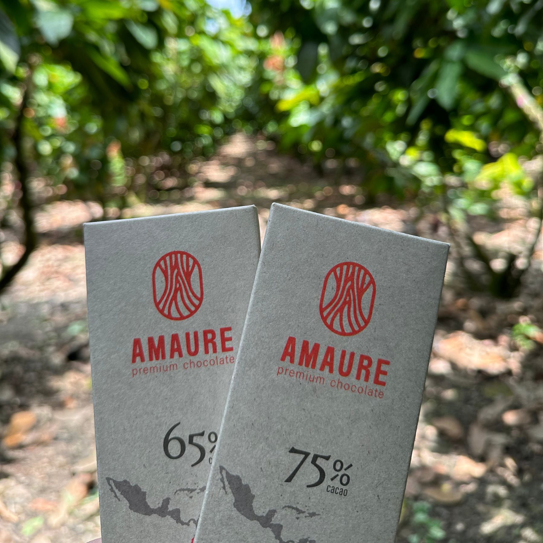 Tree-to-Bar, Single-Origin Dark Chocolate from Ecuador