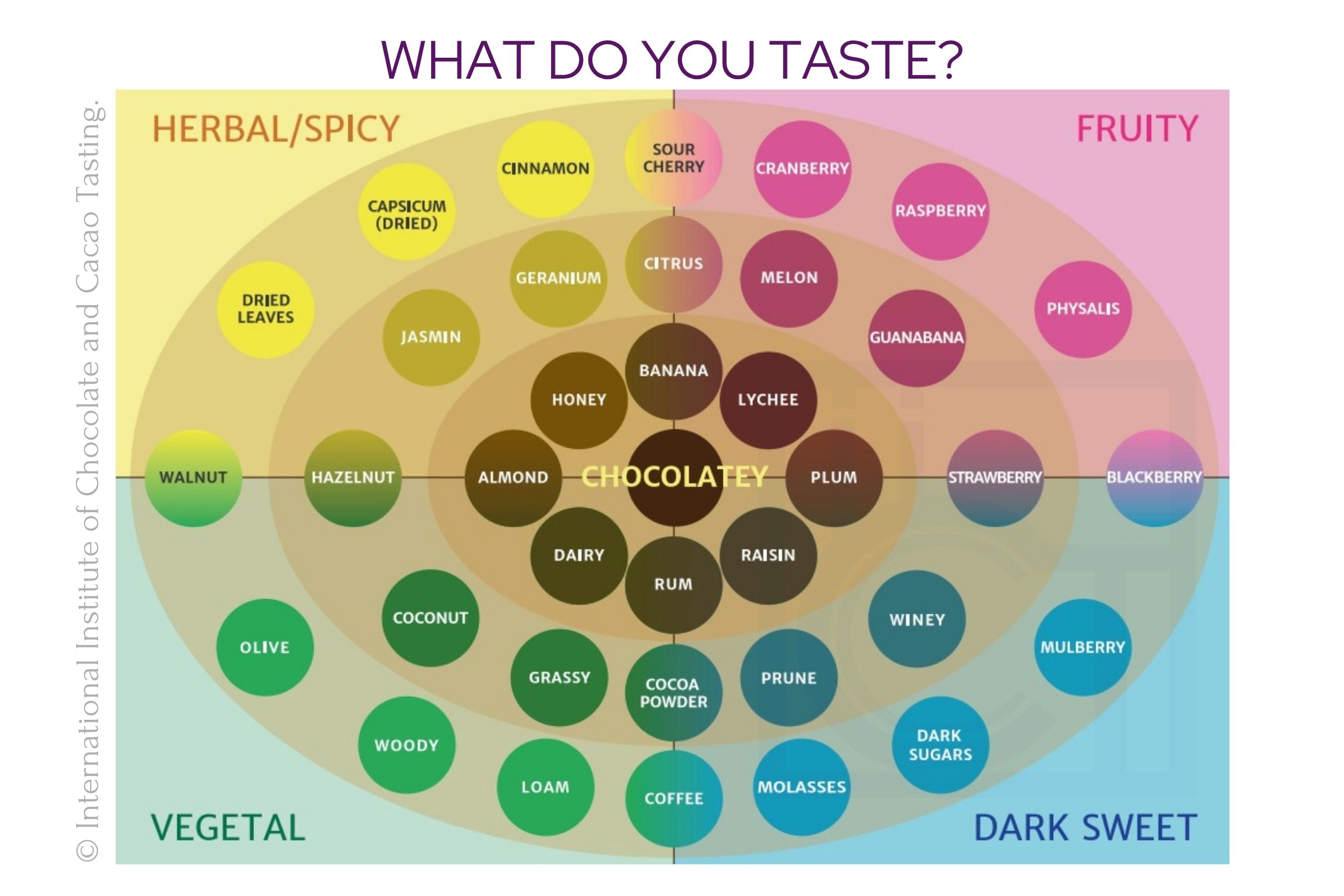 Worldwide Chocolate Tasting Kit (1-2 People, Free Shipping)