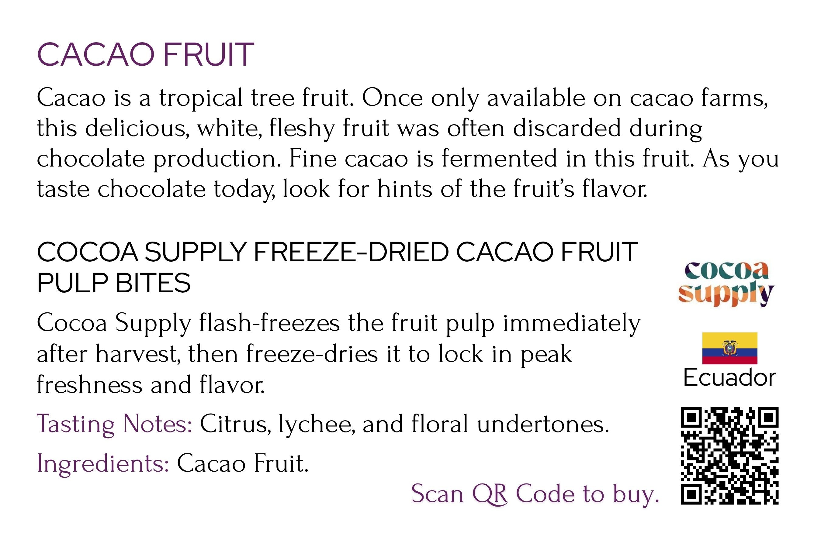 Worldwide Chocolate Tasting Kit - Dark & Milk Chocolates + Cacao Fruit