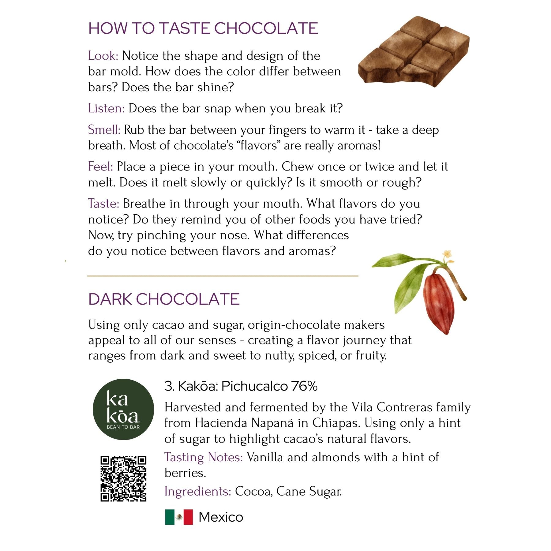 Taste Chocolate from The Source Tasting Experience (Free Shipping)
