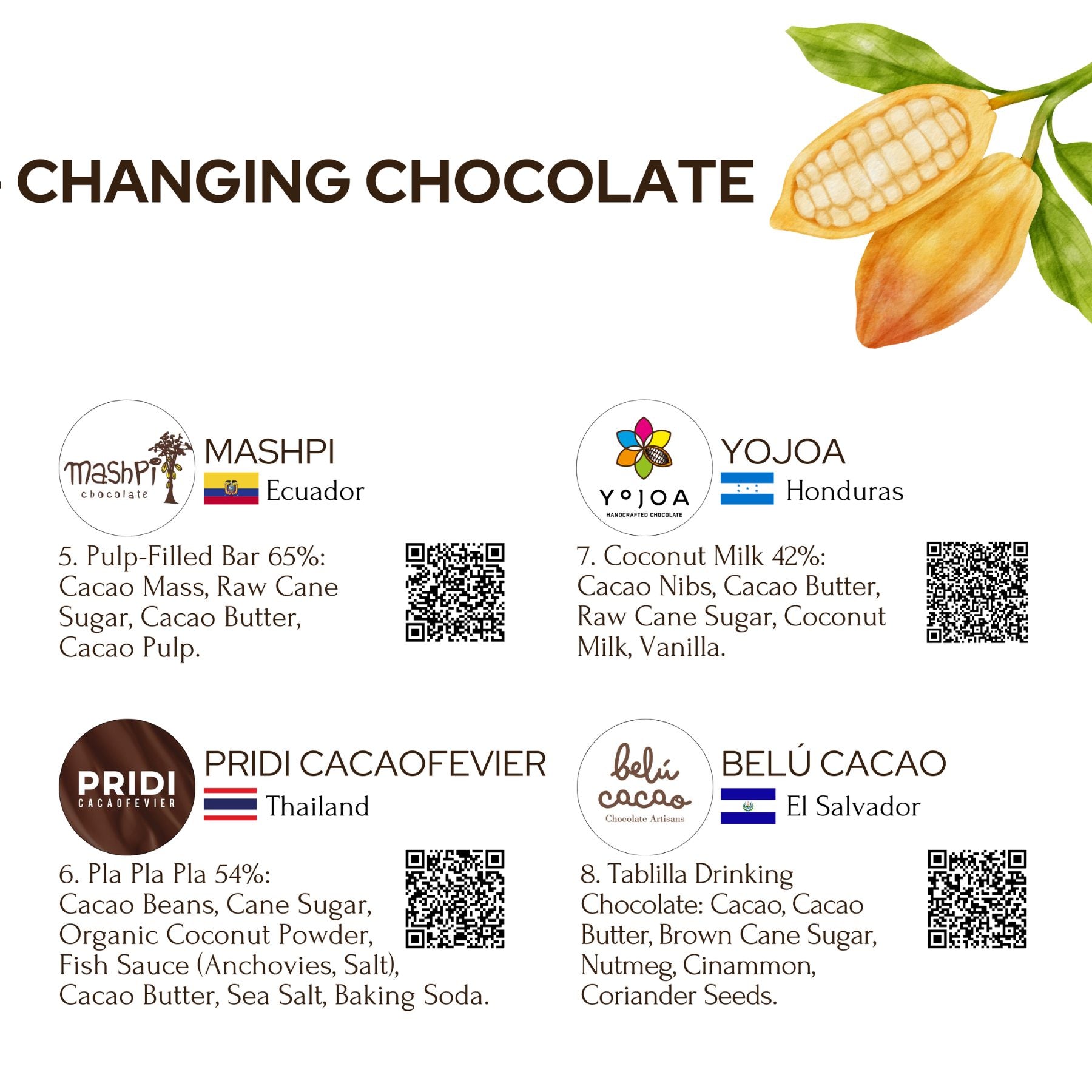 Indulge in World-Changing Chocolate Tasting Experience (Free Shipping)