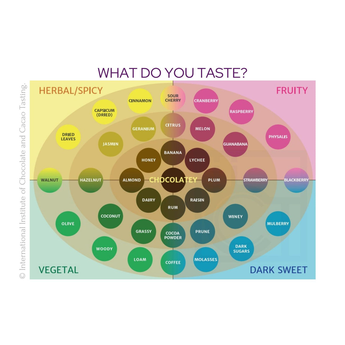 PRE-ORDER: Chocolate Pairing Sampler - Global Chocolate Flavors (1-2 People, Free Shipping)
