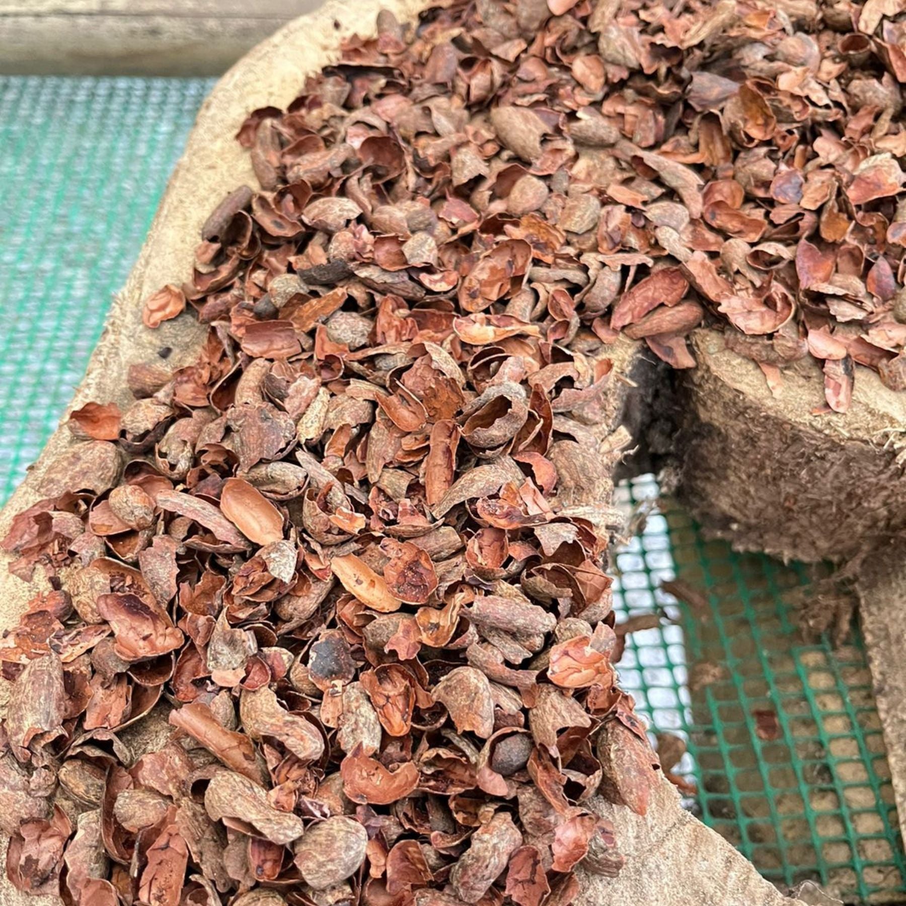 Cacao Husks for Tea