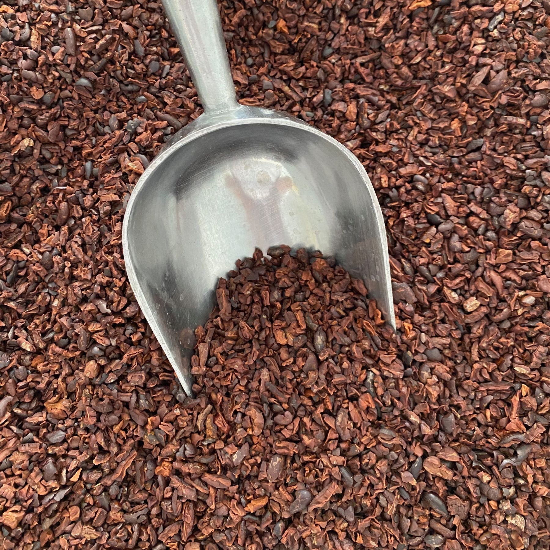 Thailand Cacao Nibs