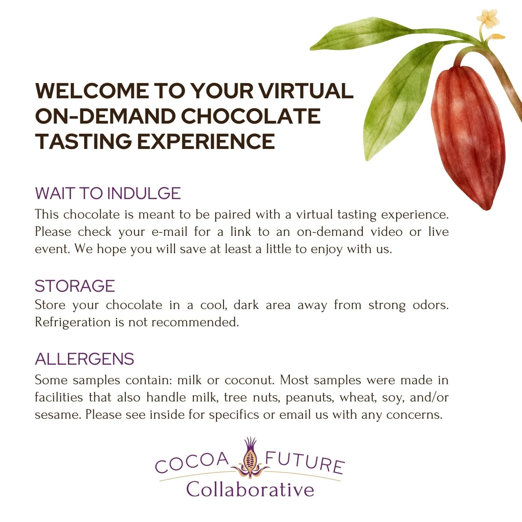 Taste Chocolate from The Source Tasting Experience (Free Shipping)