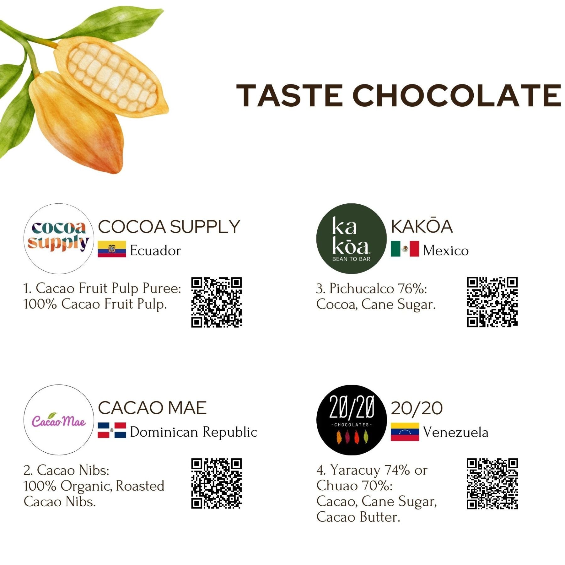 Taste Chocolate from The Source Tasting Experience (Free Shipping)