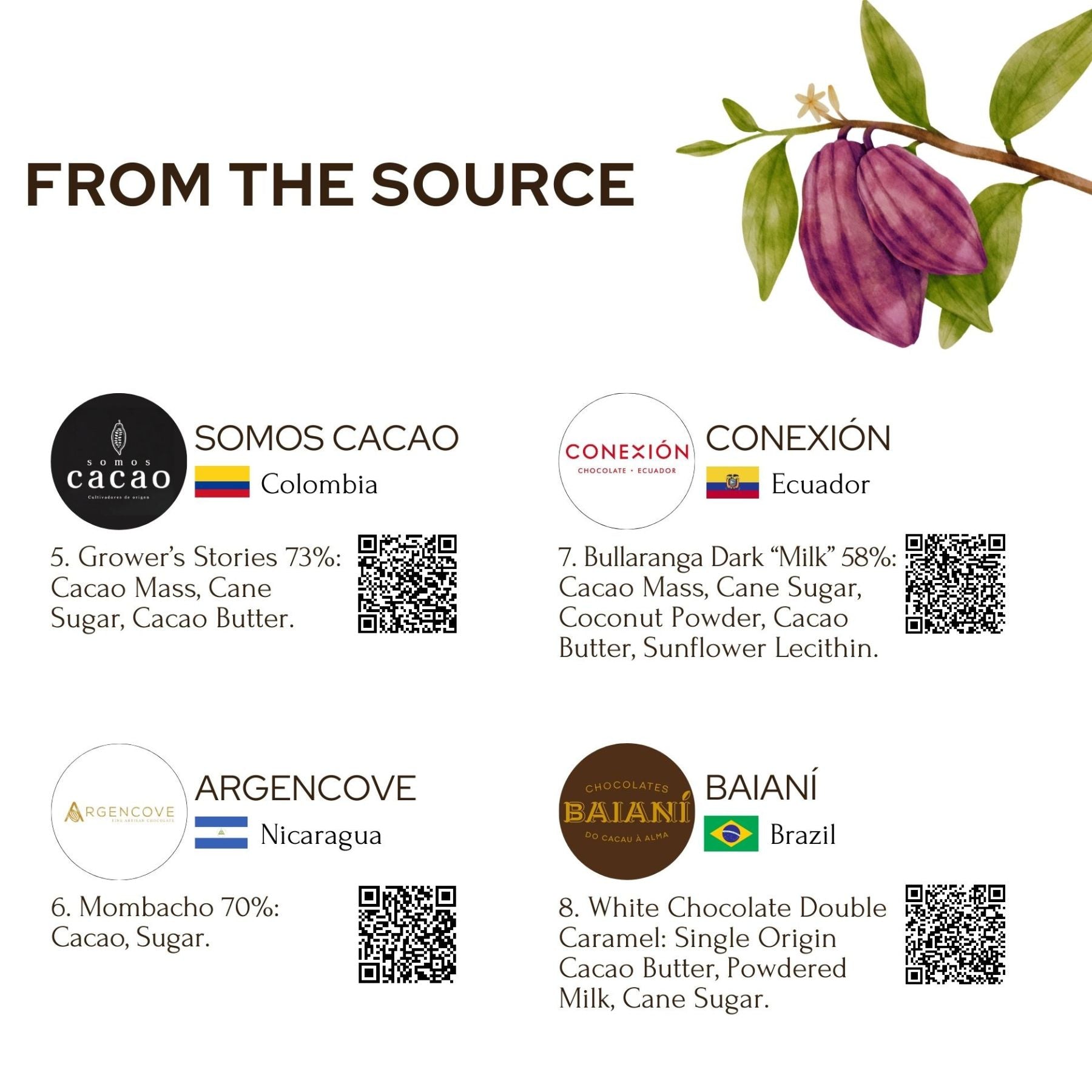 Taste Chocolate from The Source Tasting Experience (Free Shipping)