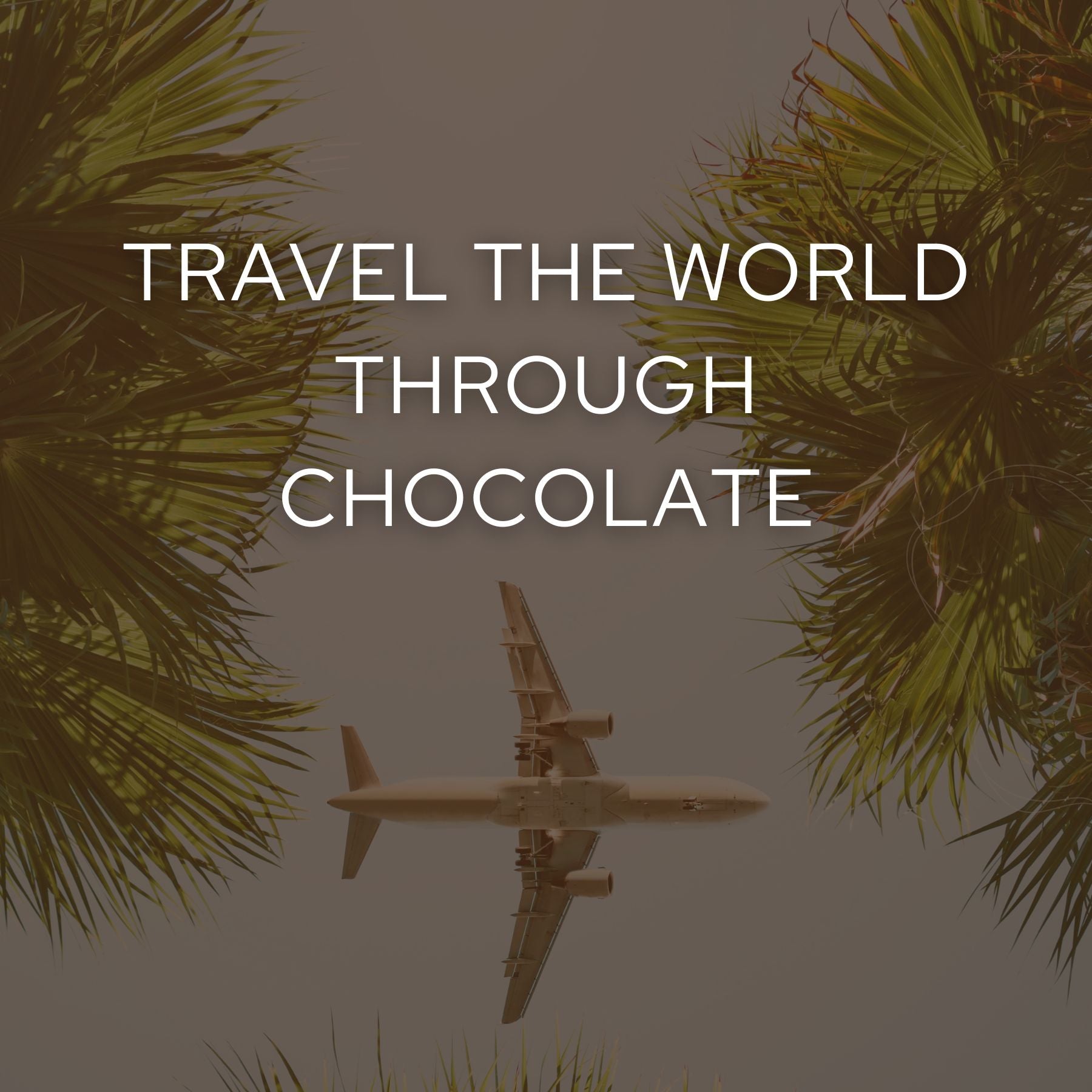 Travel the World through Chocolate (Free Shipping)