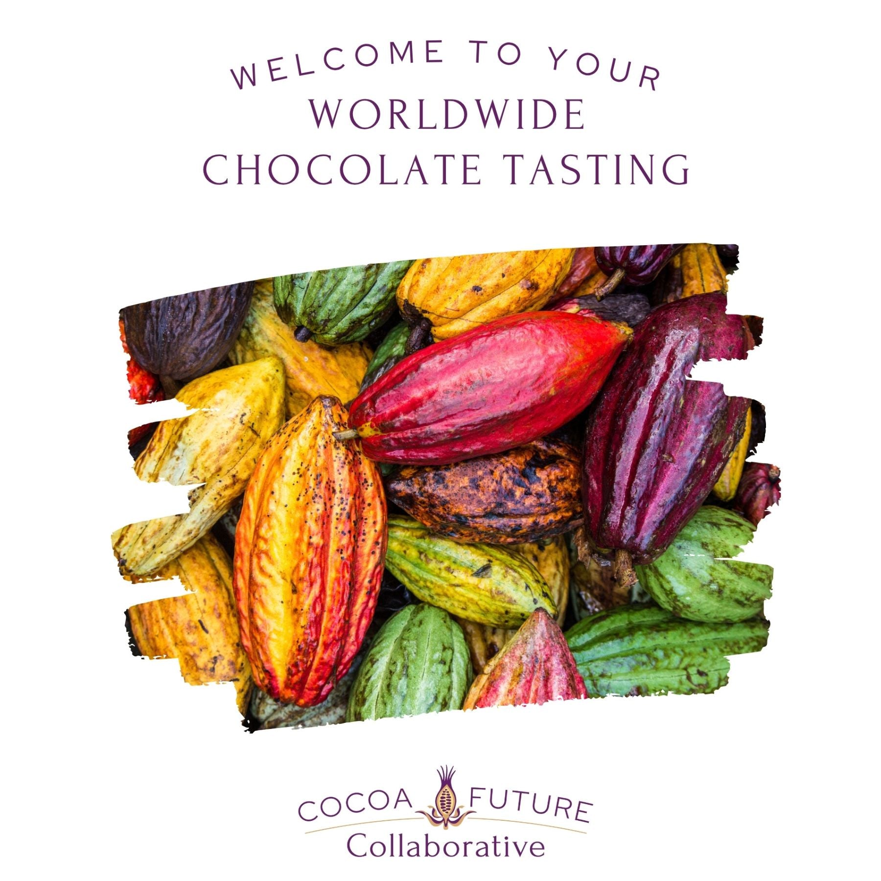 NEW! Worldwide Chocolate Tasting Kit (1-2 People, Free Shipping)